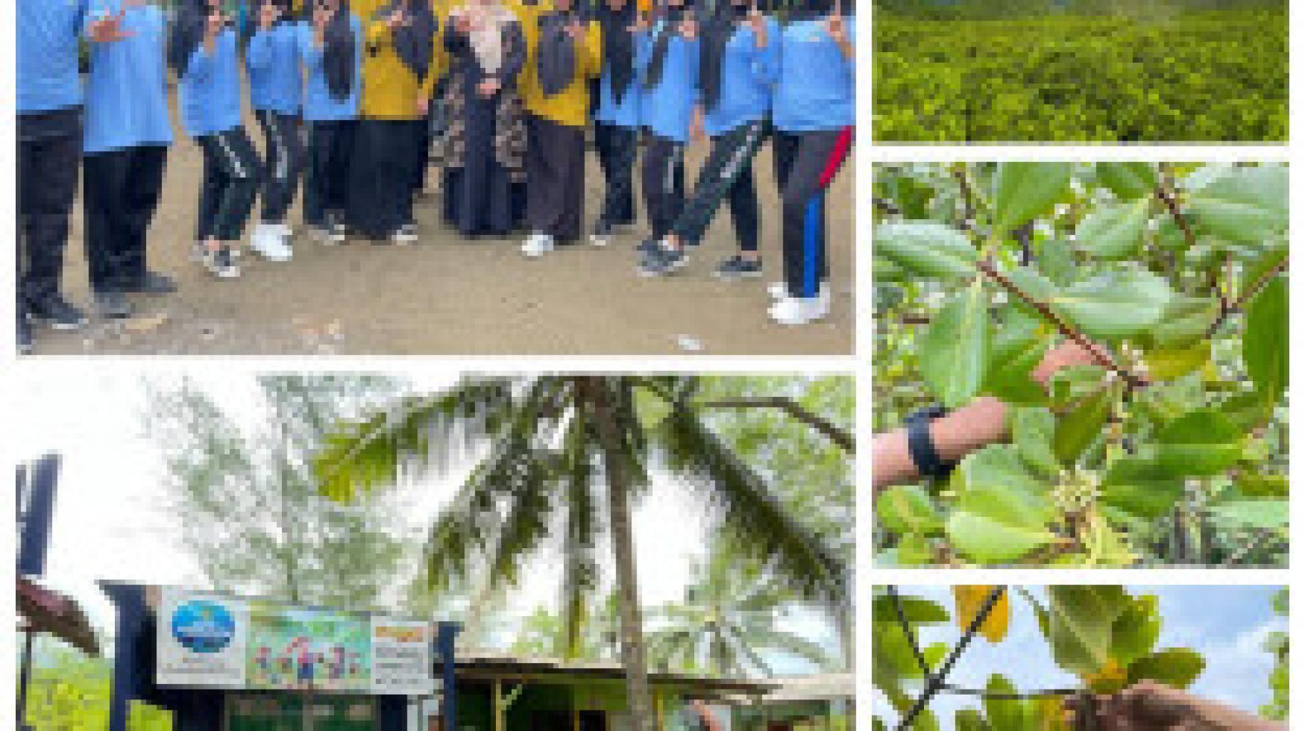Kembangkan Wawasan Cinta Lingkungan :  Observasi Vegetasi Mangrove di Pantai Cengkrong